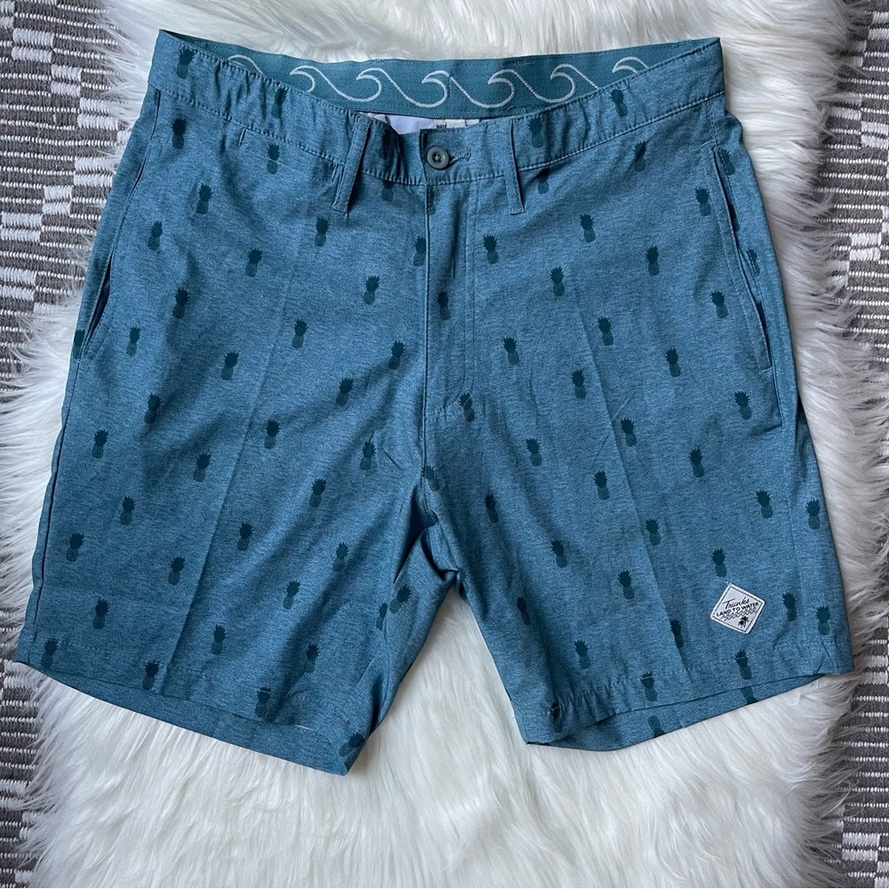 Trunks Land to Water Beach Shorts Men’s 30